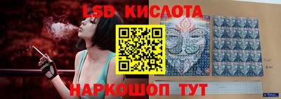 дмт Славгород