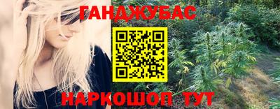 дмт Славгород