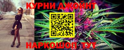 дмт Славгород