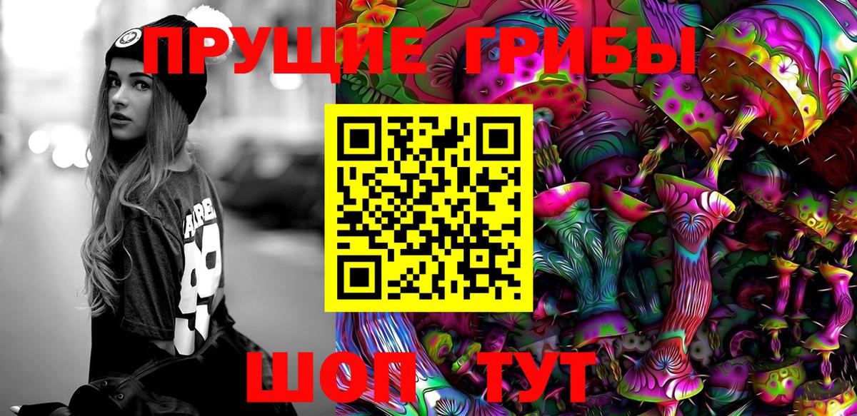 Псилоцибиновые грибы Psilocybe Норильск