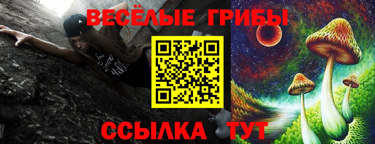 Псилоцибиновые грибы Cubensis  купить закладку  Норильск  Вход с VPN 